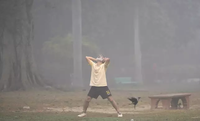 Bashir Ahmad Mir performs morning exercises surrounded by smog in Lodhi Gardens in New Delhi, India, Friday, Nov. 15, 2024. (AP Photo/Manish Swarup)