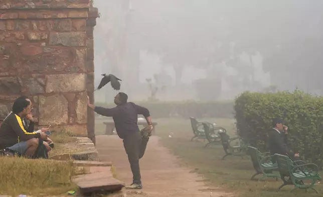 A man performs stretch exercises on a smog-filled morning in Lodhi Gardens in New Delhi, India, Friday, Nov. 15, 2024. (AP Photo/Manish Swarup)