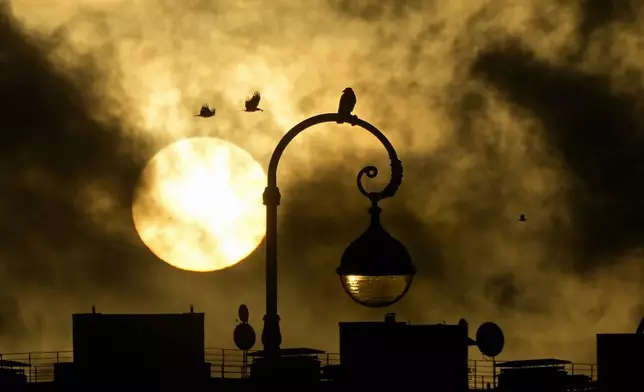 A crow sits on a lamp post during sunset in St. Petersburg, Russia, Sunday, Nov. 10, 2024. (AP Photo/Dmitri Lovetsky)