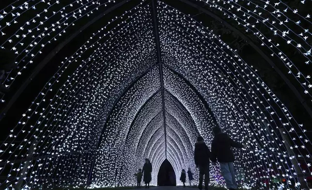 Visitors walk through the 'Cathedral' on the Christmas light trail as it returns for its 12th year, with a showcase of new installations set within the UNESCO World Heritage Site landscape of Kew Gardens in London, Tuesday, Nov. 12, 2024. (AP Photo/Kirsty Wigglesworth)