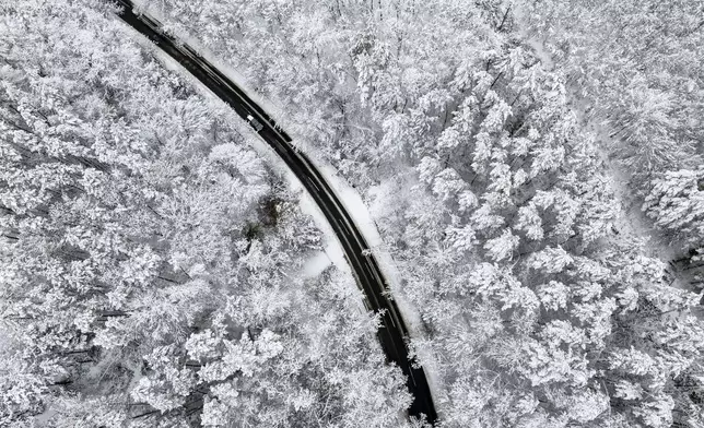 A road runs through a snow covered forest near Matrakeresztes, Hungary, after an overnight snowfall, Friday, Nov. 22, 2024. (Peter Komka/MTI via AP)