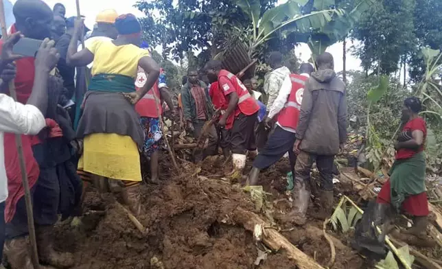 Uganda Red Cross workers search for bodies after a landslide following heavy rains buried 40 homes in the mountainous district of Bulambuli, eastern Uganda, Thursday, Nov. 28. 2024. (AP Photo/Irene Nakasiita)