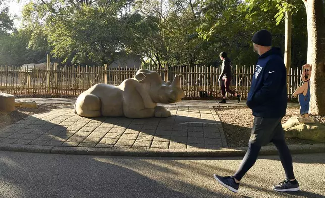 A member of the Get Healthy Walking Club walks past the rhinoceros exhibit in the morning at the Louisville Zoo in Louisville, Ky., Friday, Oct. 18, 2024. (AP Photo/Timothy D. Easley)