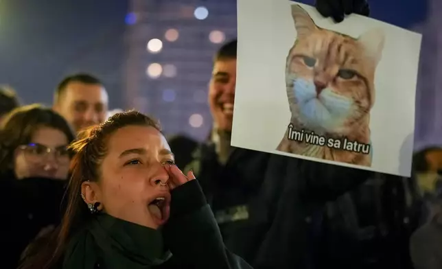 A woman shouts next to a banner depicting a grumpy cat with a text that reads "I feel like barking" in Bucharest, Romania, Wednesday, Nov. 27, 2024 during a protest against Calin Georgescu, the independent candidate for Romanian presidency who won the first round of elections making it to the Dec. 8, runoff. (AP Photo/Vadim Ghirda)