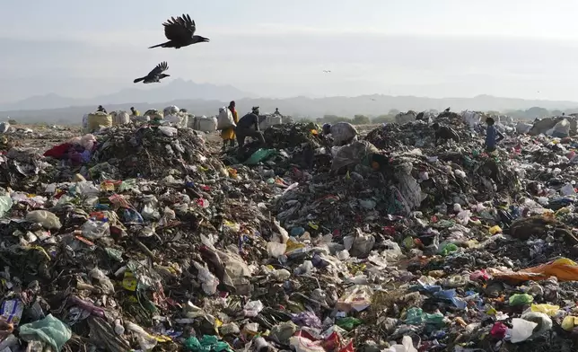 FILE - Indian rag pickers look for reusable material at a garbage dump filled with plastic and other waste material on the outskirts of Jammu, India, April 22, 2024. (AP Photo/Channi Anand, File)