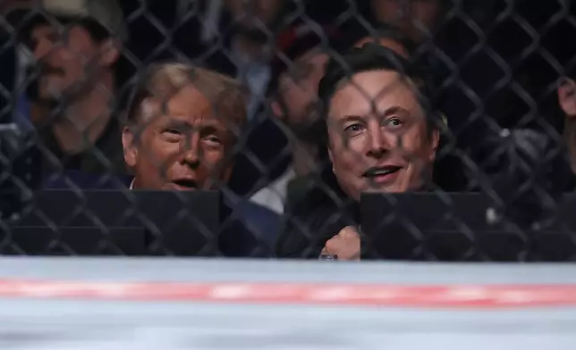 President-elect Donald Trump looks on with Elon Musk, right, at a UFC 309 mixed martial arts flyweight title bout, Saturday, Nov. 16, 2024, in New York. (AP Photo/Adam Hunger)