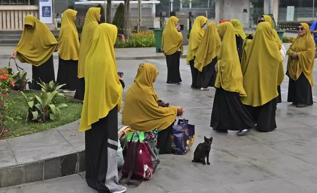 A stray that has been neutered, sits near visitors at the front yard of Istiqlal Mosque in Jakarta, Indonesia, on Nov. 9, 2024. (AP Photo/Dita Alangkara)