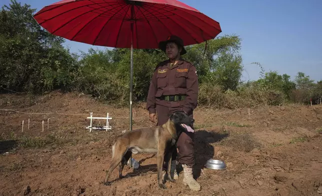 A Cambodia Mine Action Center, CMAC, woman staff member stands with service dog at a minefield in Preytotoeung village, Battambang province, Cambodia, Thursday, Jan. 19, 2023. (AP Photo/Heng Sinith)