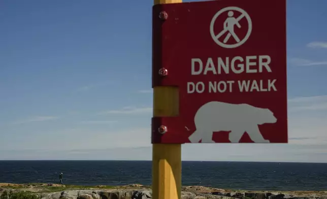 A person walks along the rocks near Hudson Bay while watching for polar bears, Saturday, Aug. 3, 2024, in Churchill, Manitoba. (AP Photo/Joshua A. Bickel)