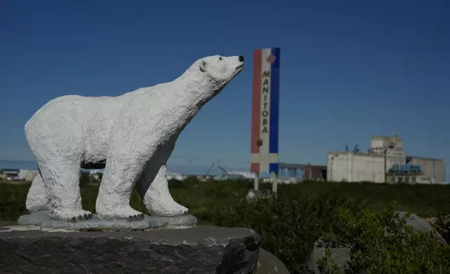 A polar bear statue stands near a road, Saturday, Aug. 3, 2024, in Churchill, Manitoba. (AP Photo/Joshua A. Bickel)