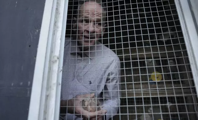 Michael Sullivan, 64, of Lowell, Mass., who was convicted of murder and armed robbery in 1987 and spend years in jail before being ruled innocent, displays one of his pigeons while speaking with a reporter from The Associated Press, at the home of his sister, Wednesday, Nov. 20, 2024, in Billerica, Mass. (AP Photo/Steven Senne)