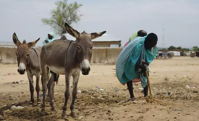 A woman who fled war in Sudan digs in a refugee camp in Adre, Chad, Thursday, Oct. 3, 2024. (AP Photo/Sam Mednick)