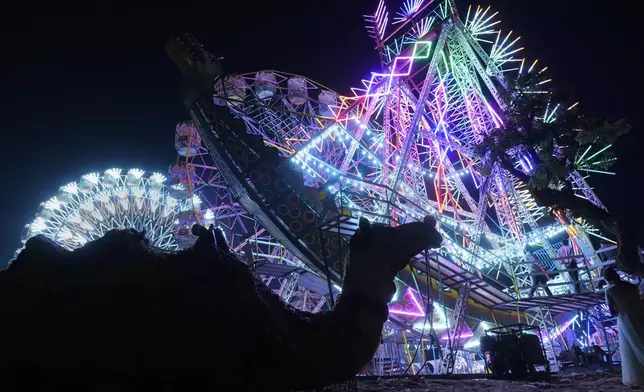 A camel sits silhouetted against a brightly lit Ferris wheel at a camel fair in Pushkar, in the northwestern Indian state of Rajasthan, Sunday, Nov. 10, 2024. (AP Photo/Deepak Sharma)