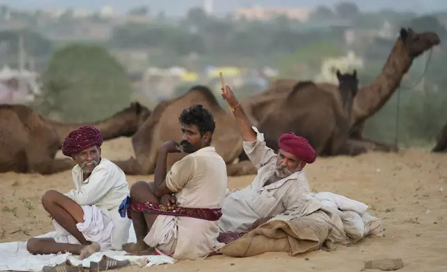 Herders sit next to their camels as they wait for prospective buyers at a camel fair in Pushkar, in the northwestern Indian state of Rajasthan, Wednesday, Nov. 6, 2024. (AP Photo/Deepak Sharma)