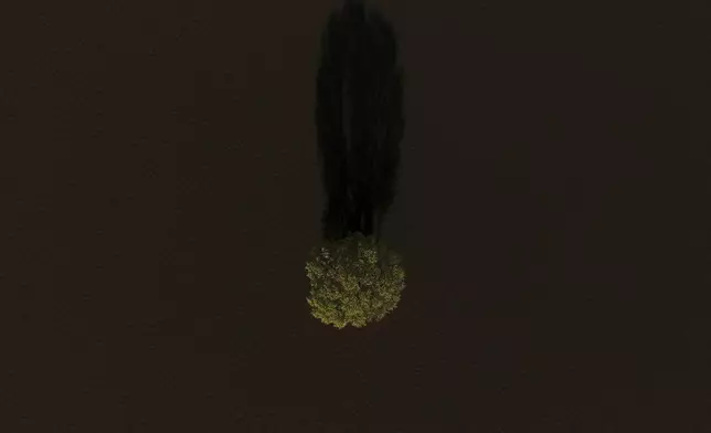 A tree is surrounded by floodwater following heavy storms in Forestville, Calif., Saturday, Nov. 23, 2024. (AP Photo/Godofredo A. Vásquez)