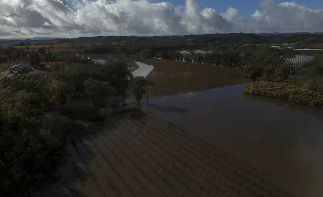 A vineyard remains flooded after heavy storms Saturday, Nov. 23, 2024, in Windsor, Calif. (AP Photo/Godofredo A. Vásquez)