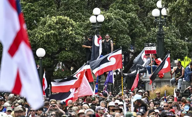 Thousands of people gather outside New Zealand's parliament to protest a proposed law that would redefine the country's founding agreement between Indigenous Māori and the British Crown, in Wellington Tuesday, Nov. 19, 2024. (AP Photo/Mark Tantrum)