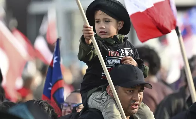 A man carries a child on his shoulders outside New Zealand's parliament during a protest against a proposed law that would redefine the country's founding agreement between Indigenous Māori and the British Crown, in Wellington Tuesday, Nov. 19, 2024. (AP Photo/Mark Tantrum)