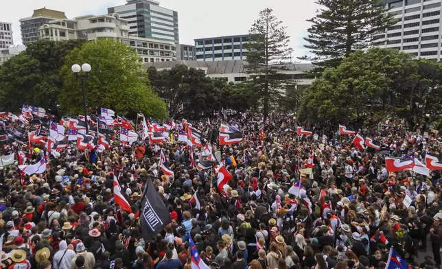 Thousands of people gather outside New Zealand's parliament to protest a proposed law that would redefine the country's founding agreement between Indigenous Māori and the British Crown, in Wellington Tuesday, Nov. 19, 2024. (AP Photo/Charlotte McLay-Graham)