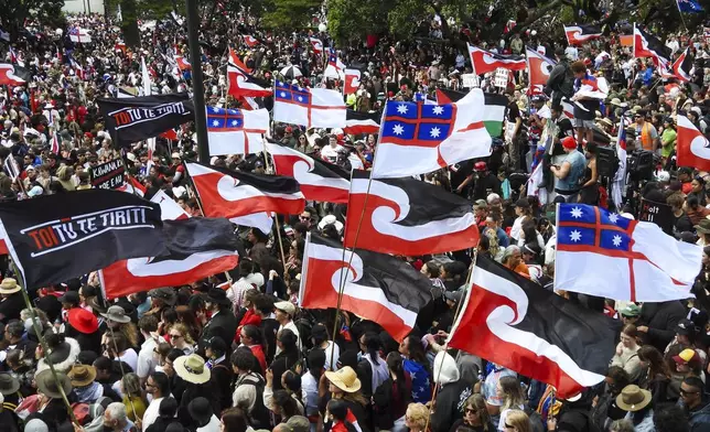 Thousands of people gather outside New Zealand's parliament to protest a proposed law that would redefine the country's founding agreement between Indigenous Māori and the British Crown, in Wellington Tuesday, Nov. 19, 2024. (AP Photo/Charlotte McLay-Graham)