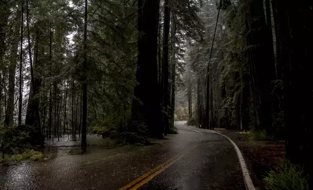 Flood water is seen across State Route 254 near Redcrest, Calif., Thursday, Nov. 21, 2024. (Stephen Lam/San Francisco Chronicle via AP)