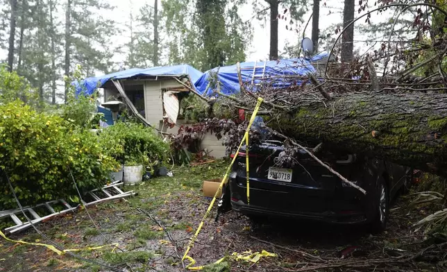 A downed tree destroys a vehicle and a property during a storm, Thursday, Nov. 21, 2024, in Forestville, Calif. (AP Photo/Godofredo A. Vásquez)