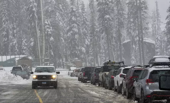 Snow comes down on trees and a road during a storm Thursday, Nov. 21, 2024, at Sugar Bowl Ski Resort in Norden, Calif. (AP Photo/Brooke Hess-Homeier)