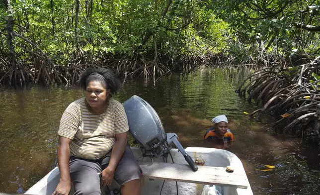 Petronela Merauje sits in a boat as Paula Hamadi, right, stands chest deep in water as she collects clams in a mangrove forest where only women are permitted to enter in Jayapura, Papua province, Indonesia on Wednesday, Oct. 2, 2024. (AP Photo/Firdia Lisnawati)