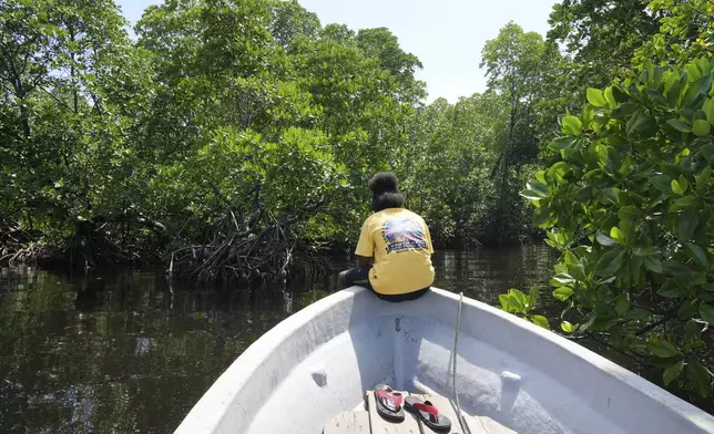 Martha Tjoe sits on a boat through a mangrove forest where only women are permitted to enter in Jayapura, Papua province, Indonesia on Wednesday, Oct. 2, 2024. (AP Photo/Firdia Lisnawati)