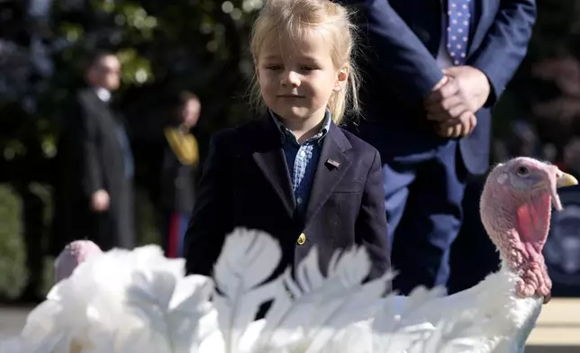 Beau Biden, grandson of President Joe Biden, is pictured with the national Thanksgiving turkeys, Peach and Blossom, after a pardoning ceremony on the South Lawn of the White House in Washington, Monday, Nov. 25, 2024. (AP Photo/Mark Schiefelbein)