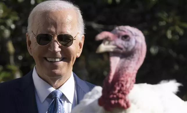 President Joe Biden stands with one of the national Thanksgiving turkeys, Peach, during a pardoning ceremony on the South Lawn of the White House in Washington, Monday, Nov. 25, 2024. (AP Photo/Mark Schiefelbein)