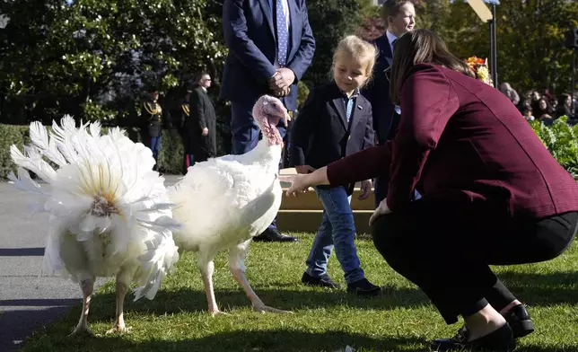 Beau Biden, grandson of President Joe Biden, is pictured with the national Thanksgiving turkeys, Peach and Blossom, after a pardoning ceremony on the South Lawn of the White House in Washington, Monday, Nov. 25, 2024. (AP Photo/Mark Schiefelbein)