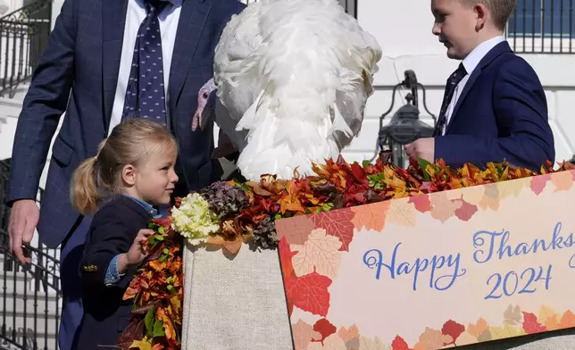 Beau Biden, left, looks at Peach, the national Thanksgiving turkey who was pardoned by President Joe Biden, during a ceremony on the South Lawn of the White House in Washington, Monday, Nov. 25, 2024. Grant Zimmerman, son of John Zimmerman, chair of the National Turkey Federation, watches at right. (AP Photo/Susan Walsh)