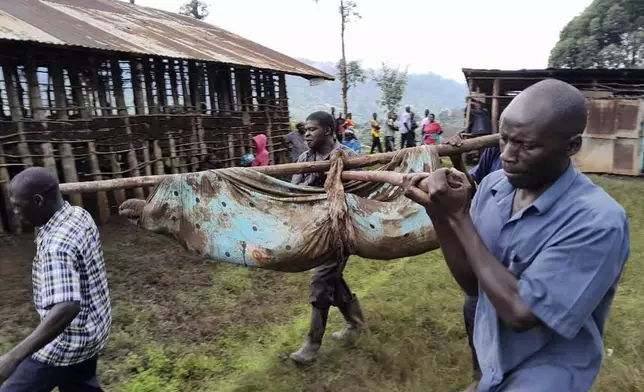 Rescue workers carry bodies after a landslide following heavy rains that buried 40 homes in the mountainous district of Bulambuli, eastern Uganda, Thursday, Nov. 28. 2024. (AP Photo/Jean Watala)