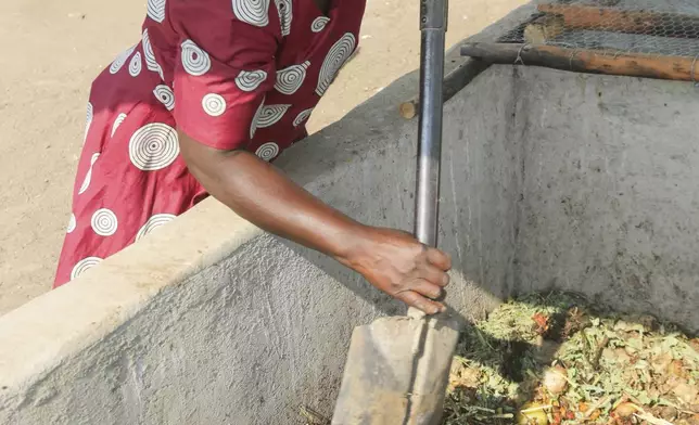 Maggot breeder, Chemari Choumumba works at a production tank of maggots at her home in Chiredzi, Zimbabwe Wednesday, Sept. 18, 2024. (AP Photo/Aaron Ufumeli)