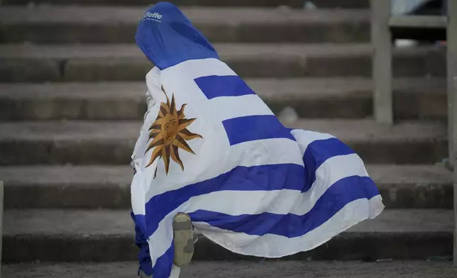 A fan rapped in an Uruguay flag arrives to the stands for a qualifying soccer match against Colombia for the FIFA World Cup 2026 in Montevideo, Uruguay, Friday, Nov. 15, 2024. (AP Photo/Matilde Campodonico)