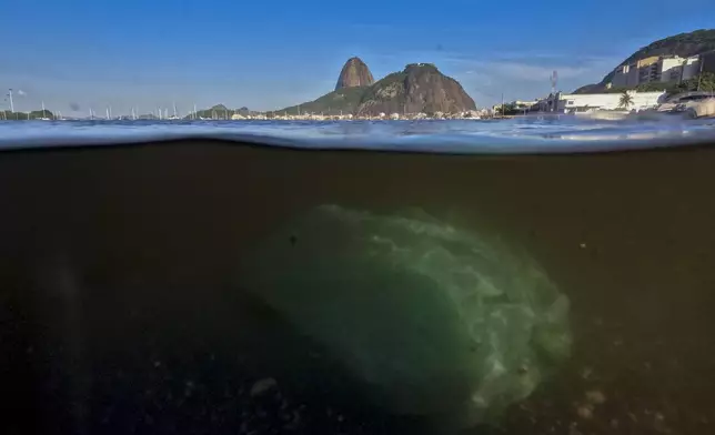 A discarded plastic bag floats in the water at Botafogo beach in Rio de Janeiro, Tuesday, Nov. 26, 2024. (AP Photo/Bruna Prado)