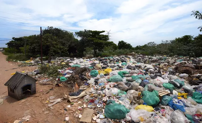 FILE- An abandoned dog house sits alongside a landfill covered with discarded plastic materials in Asuncion, Paraguay, Tuesday, Nov. 26, 2024. (AP Photo/Jorge Saenz, File)