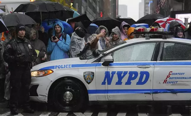 Spectators watch the Macy's Thanksgiving Day Parade on Sixth Avenue, Thursday, Nov. 28, 2024, in New York. (AP Photo/Julia Demaree Nikhinson)