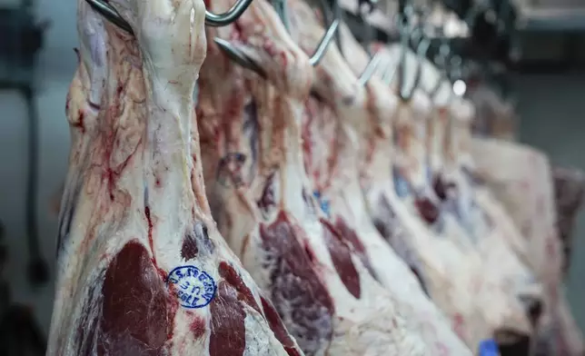 Beef hangs in the meat locker of J.T. Jobbagy Inc. in the Meatpacking District of Manhattan, Tuesday, Nov. 19, 2024, in New York. (AP Photo/Julia Demaree Nikhinson)