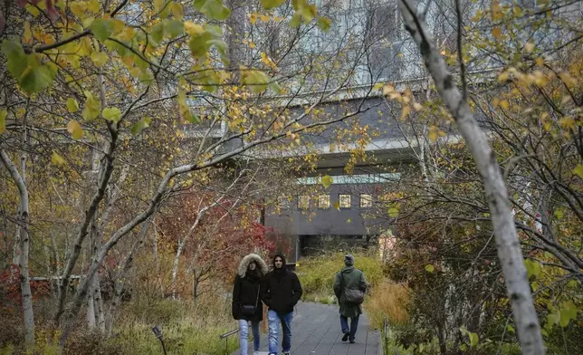 People walk on the High Line in the Meatpacking District of Manhattan, Friday, Nov. 22, 2024, in New York. (AP Photo/Julia Demaree Nikhinson)