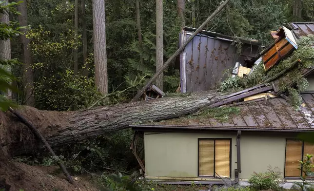 A woman was killed after a tree fell on her home during Tuesday night's "bomb cyclone" in severe weather in Bellevue, Wash. (Nick Wagner/The Seattle Times via AP)