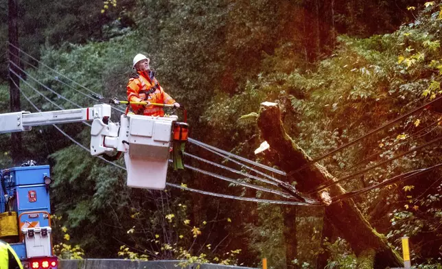 A Pacific Gas &amp; Electric worker pauses while sawing a tree that toppled into power lines during heavy rains on Wednesday, Nov. 20, 2024, in the Occidental community of unincorporated Sonoma County, Calif. (AP Photo/Noah Berger)