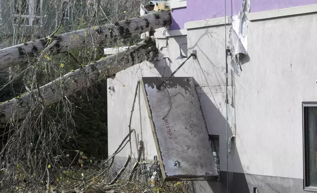 The drive-thru area of a Taco Bell restaurant is damaged by a fallen tree Wednesday, Nov. 20, 2024, in Issaquah, Wash., after a "bomb cyclone'"storm brought high winds to the area. (AP Photo/Manuel Valdes)