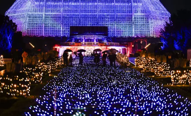 People walk through a Christmas light trail during a lighting test of the Christmas Garden in the Botanical Garden in Berlin, Germany, Tuesday, Nov. 19, 2024. (AP Photo/Markus Schreiber)