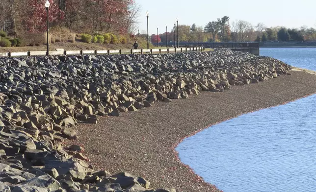 Water levels sit below normal at the Brick Reservoir in Brick N.J., on Tuesday, Nov. 12, 2024 amid record-breaking dry conditions in New Jersey. (AP Photo/Wayne Parry)