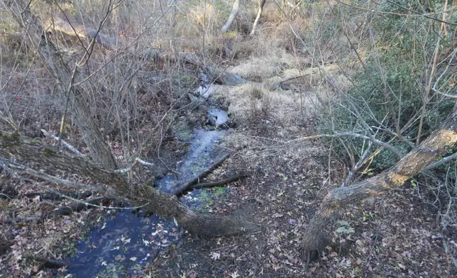 A stream in Allaire State Park in Wall, N.J., has shrunk to a trickle on Tuesday, Nov. 12, 2024, amid record-breaking dry conditions in New Jersey. (AP Photo/Wayne Parry)