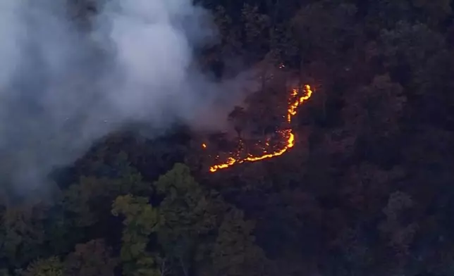 This aerial image taken from video shows a brush fire that broke out in a park on the northern tip of Manhattan in Inwood, N.Y., Wednesday, Nov. 13, 2024. (WABC-TV via AP)