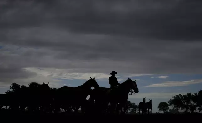 A gaucho rides a horse during in a exhibition during Tradition Day, aimed to preserve gaucho traditions in San Antonio de Areco, Argentina, Sunday, Nov. 10, 2024. (AP Photo/Natacha Pisarenko)