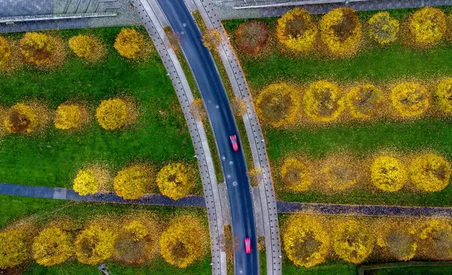 Cars drive on a road through a small park in Frankfurt, Germany, Friday, Nov. 1, 2024. (AP Photo/Michael Probst)